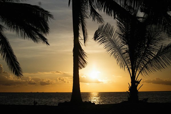 Vivez l'Hiver en Yourte : Le Guide Complet pour un Séjour Mémorable et Authentique