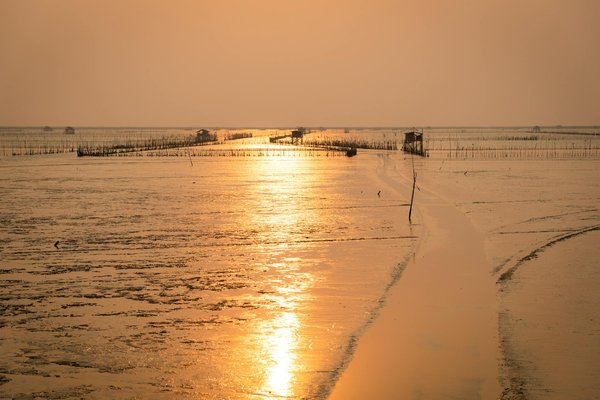 10 Astuces Essentielles pour Vivre une Aventure Inoubliable en Yourte