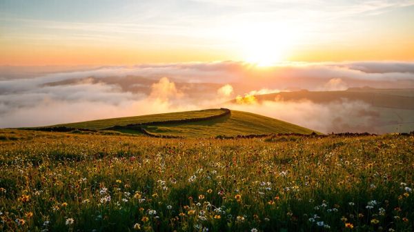 7 raisons de choisir l'Irlande comme destination de vacances