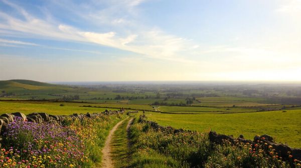 7 raisons de choisir l'Irlande comme destination de vacances