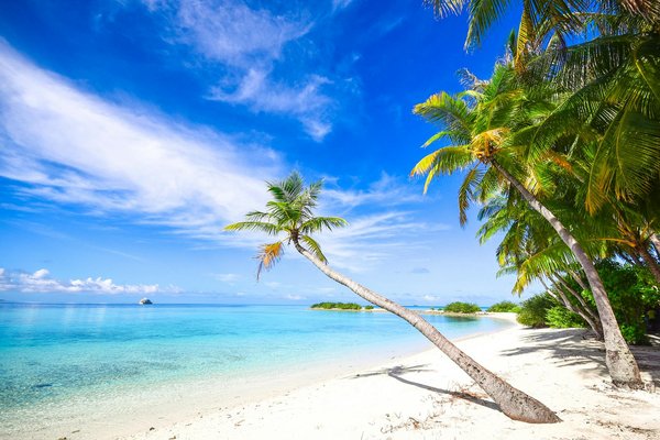 Influence de la cuisine locale sur les décisions de voyage : un guide savoureux